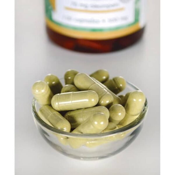 Екстракт от Маслинови Листа снимка 2 - HealthMall
