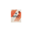Impact Whey Protein MyProtein - 25 грама, 1 Доза Impact Whey Protein MyProtein - 25 грама, 1 Доза