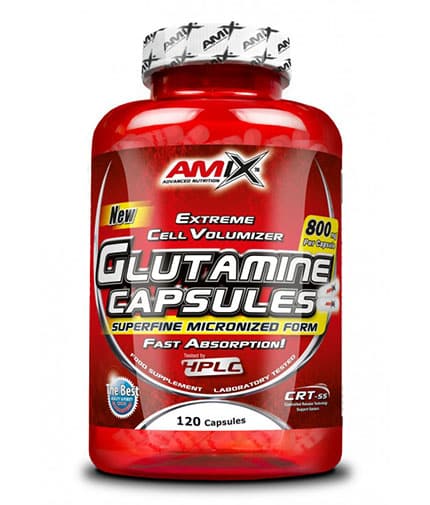 AMIX L-Glutamine 800 mg / 120 Caps AMIX L-Glutamine 800 mg / 120 Caps