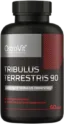 Tribulus Terrestris 90 OstroVit - 60 капсули, 60 Дози Tribulus Terrestris 90 OstroVit - 60 капсули, 60 Дози