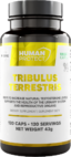 Tribulus Terrestris 204 mg | with 98% Saponins Human Protect - 120 капсули, 120 Дози Tribulus Terrestris 204 mg | with 98% Saponins Human Protect - 120 капсули, 120 Дози